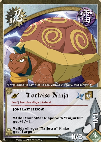 Tortoise Ninja — n5068