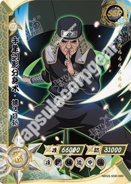 Hiruzen Sarutobi — SS-SSR-009
